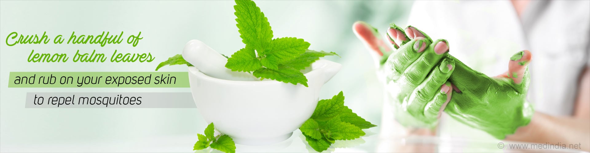 Crush a handful of lemon balm leaves and rub on your exposed skin to repel mosquitoes