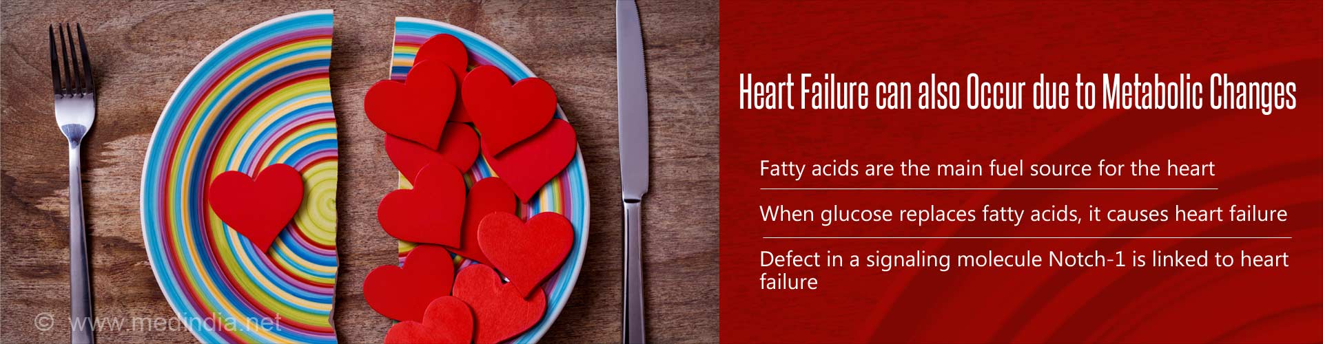 heart failure can also occur due to metabolic changes
- fatty acids are the main fuel source for the heart
- when glucose replaces fatty acids, it causes heart failure
- defect in a signaling molecule Notch-1 is linked to heart failure
