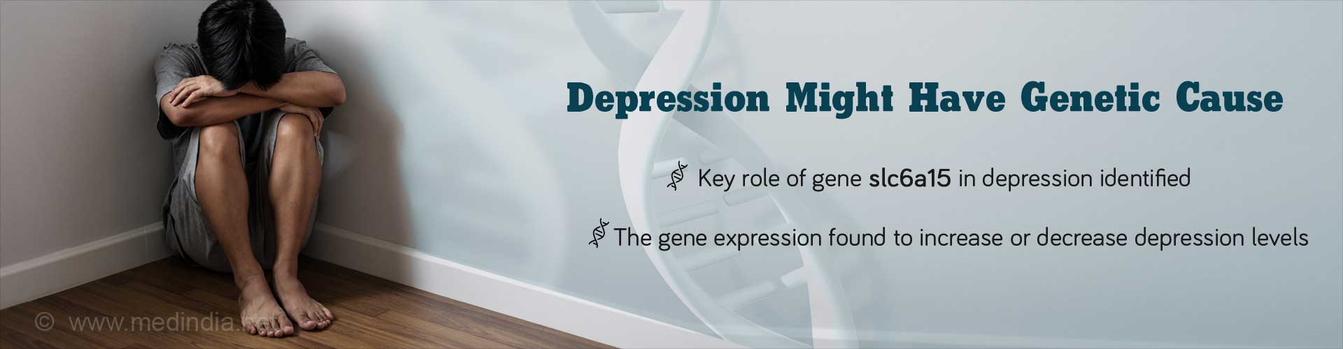 Depression May Have Genetic Cause
- Key role of gene slc6a15 in depression identified
- The gene expression found to increase or decrease depression levels