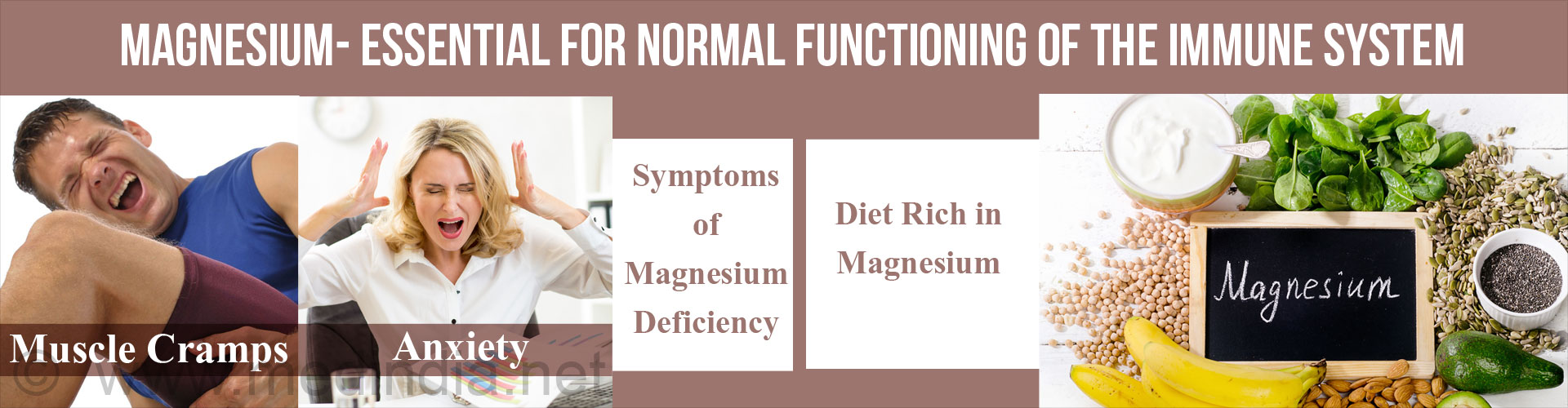 Magnesium - Essential For Normal Functioning of the Immune System
Symptoms of Magnesium
- Muscle Cramps
- Anxiety
Diet rich in magnesium