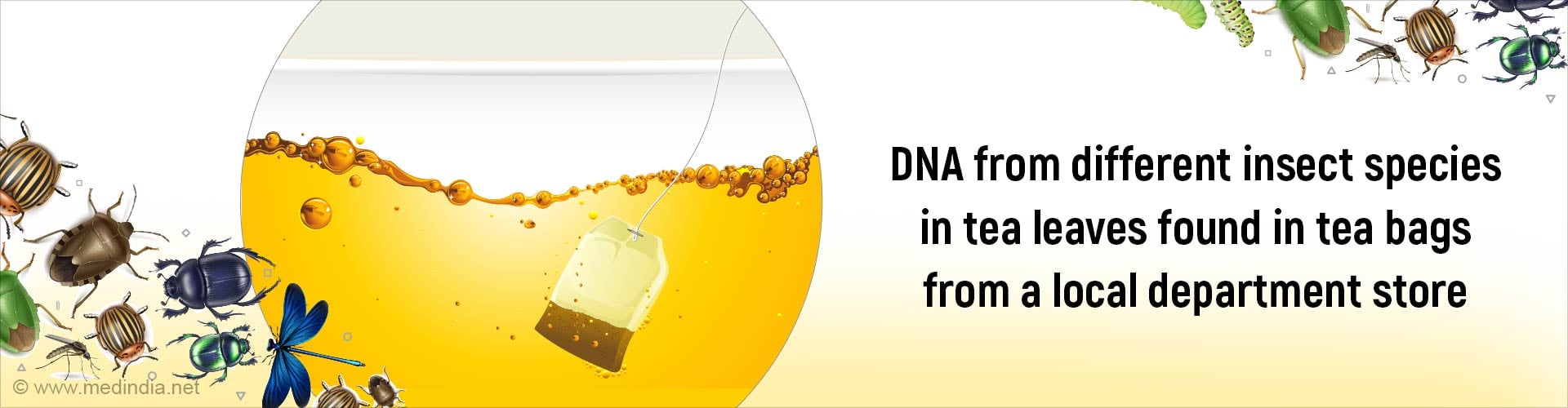 Believe It or Not: DNA of Over a Thousand Insect Species in Tea Leaves!
