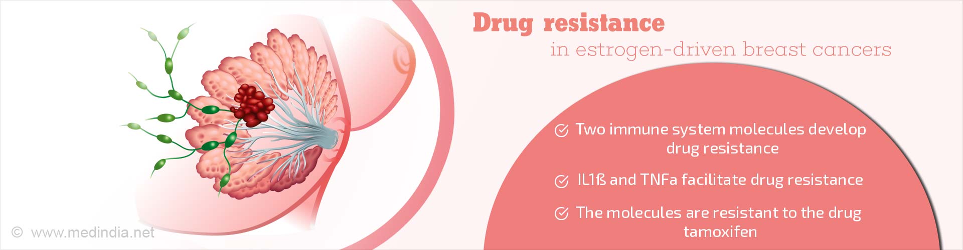 drug resistance in estrogen-driven breast cancers
- two immune system molecules develop drug resistance
- IL1B and TNFa facilitate drug resistance
- the molecules are resistant to the drug tamoxifen