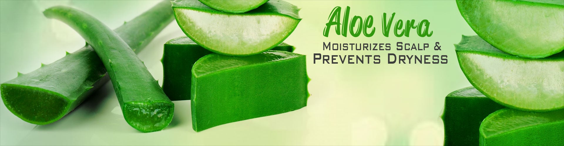 Aloe Vera Moisturizes Scalp & Prevents Dryness