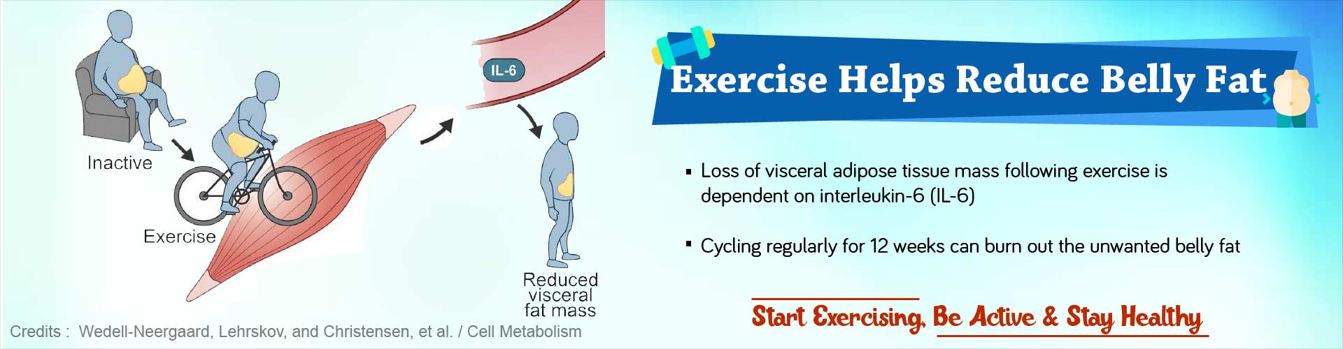 Exercise helps reduce belly fat. Loss of visceral adipose tissue mass following exercise is dependent on interleukin-6 (IL-6). Cycling regularly for 12 weeks can burn out the unwanted belly fat. Start exercising, be active and stay healthy.