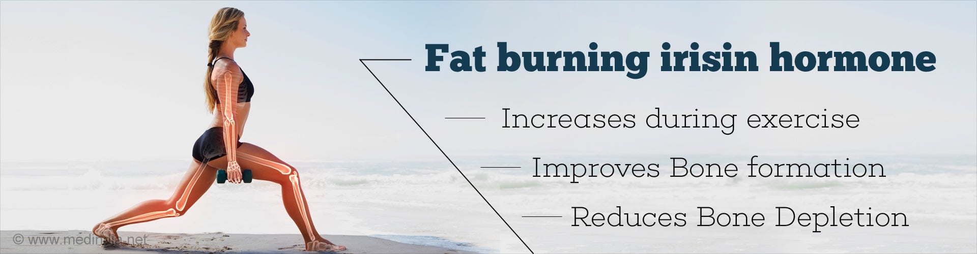 Fat burning irisin hormone
- Increase during exercise
- Improves bone formation
- Reduces bone depletion 