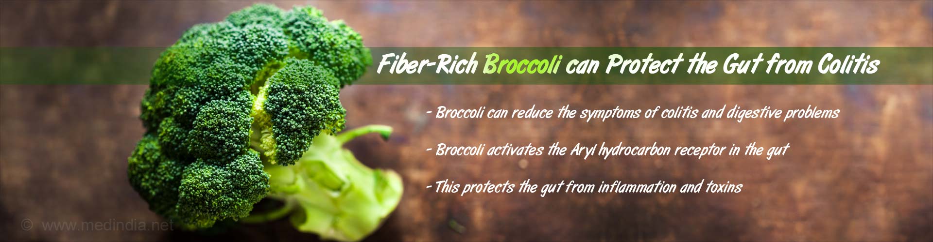 Fiber-rich broccoli can protect the gut from colitis
- Broccoli can reduce the symptoms of colitis and digestive problems
- Broccoli activates the Aryl hydrocarbon receptor in the gut
- This protects the gut from inflammation and toxins