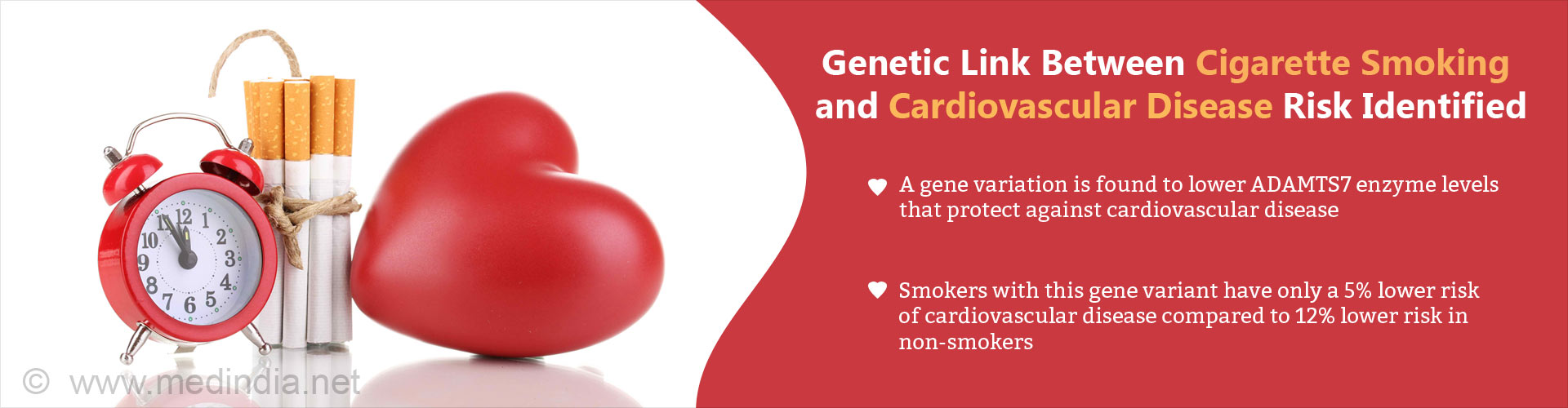 Genetic link between cigarette smoking and cardiovascular disease risk identified
- A gene variation is found to lower ADAMTS7 enzyme levels that protect against cardiovascular disease
- Smokers with this gene variant have only a 5% lower risk of cardiovascular disease compared to 12% lower risk in non-smokers
