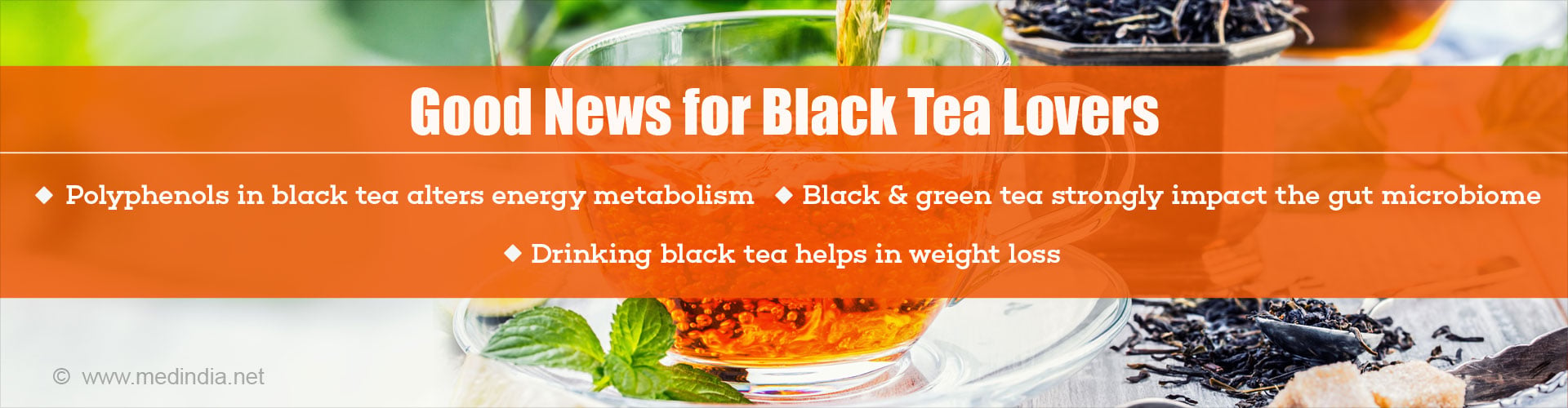 Good news for black tea lovers
- Polyphenols in black tea alters energy metabolism
- Black & green teas strongly impact the gut microbiome
- Drinking black tea helps in weight loss
