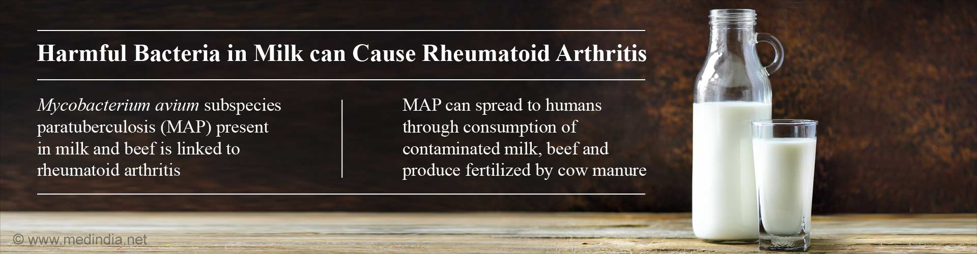harmful bacteria in milk can cause rheumatoid arthritis
- mycobacterium avium subspecies paratuberculosis (MAP) present in milk and beef is linked to rheumatoid arthritis
- MAP can spread to humans through consumption of contaminated milk, beef and produce fertilized by cow manure