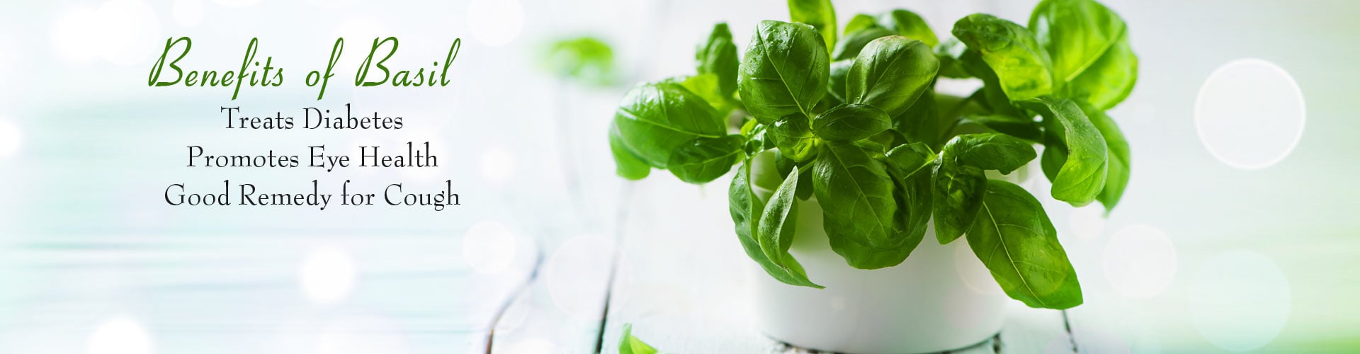 Benefits of Basil - Treats Diabetes, Promotes Eye Health, Good Remedy for Cough
