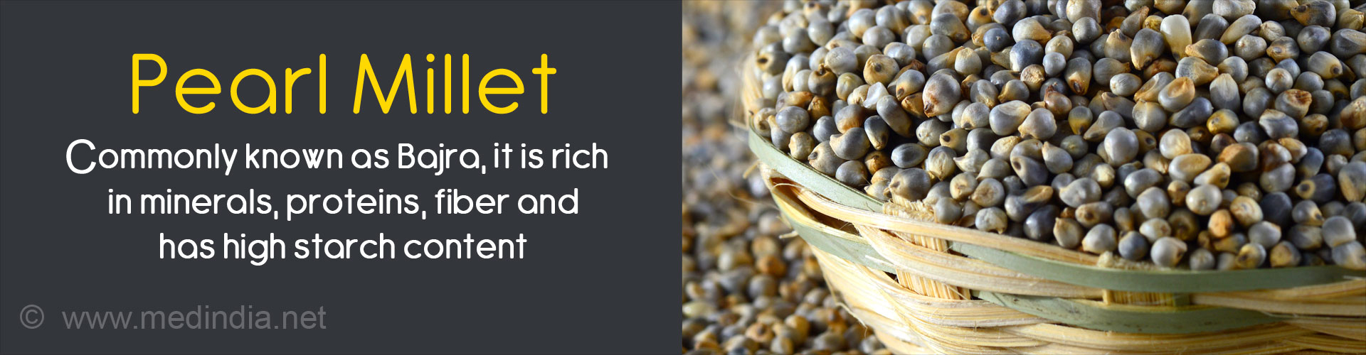 Pearl millet commonly known as bajra. it is rich in minerals, proteins, fiber and has high starch content
