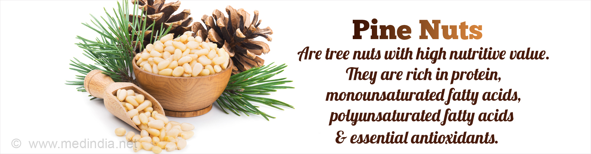 Pine nuts are tree nuts with high nutritive value. They are rich in monounsaturated fatty acids, polyunsaturated fatty acids, protein and essential antioxidants
