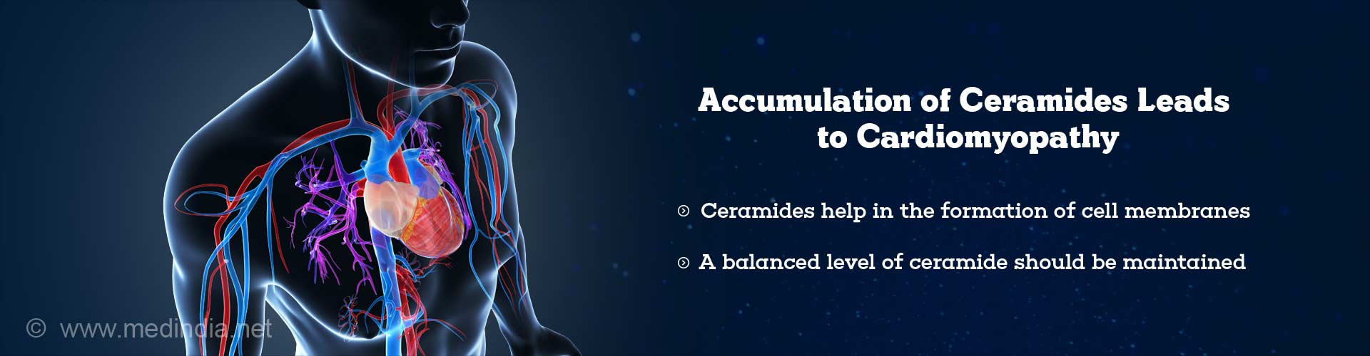 accumulation of ceramides leads to cardiomyopathy
- ceramides help in the formation of cell membranes
- a balanced level of ceramide should be maintained