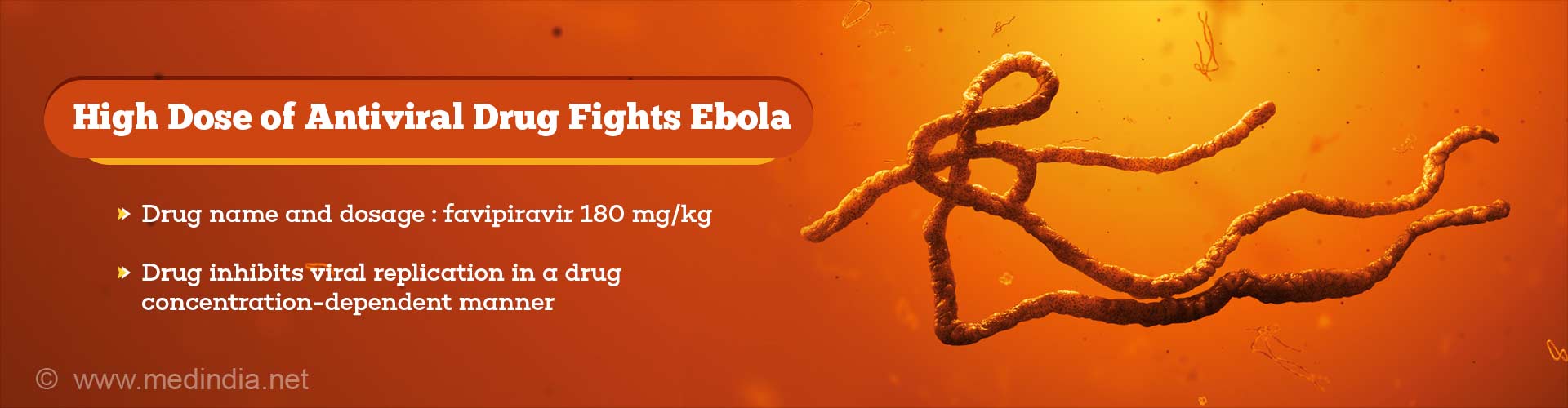 High dose of antiviral drug fights ebola
- drug name and dosage: favipiravir 180 mg/kg
- drug inhibits viral replication in a drug concentration-dependent manner