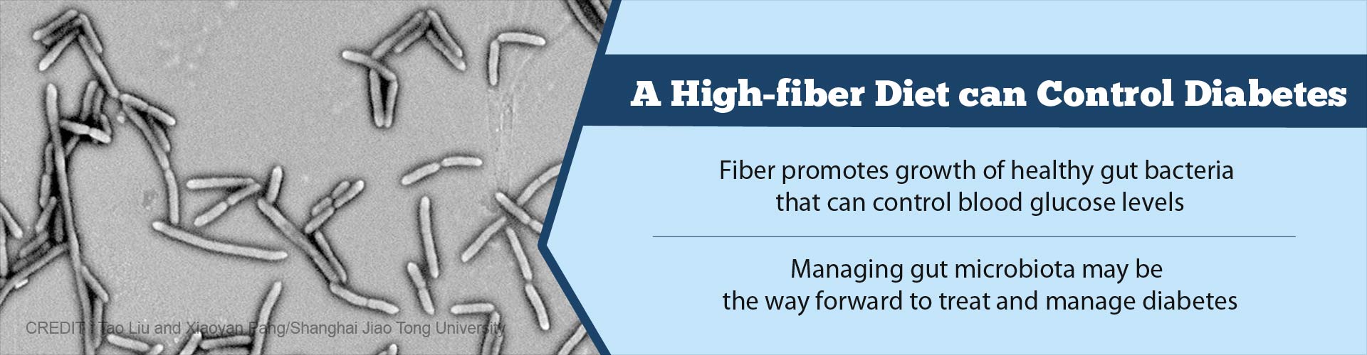 a high-fiber diet can control diabetes
- fiber promotes growth of healthy gut bacteria that can control blood glucose levels
- managing gut microbiota maybe the way forward to treat and manage diabetes