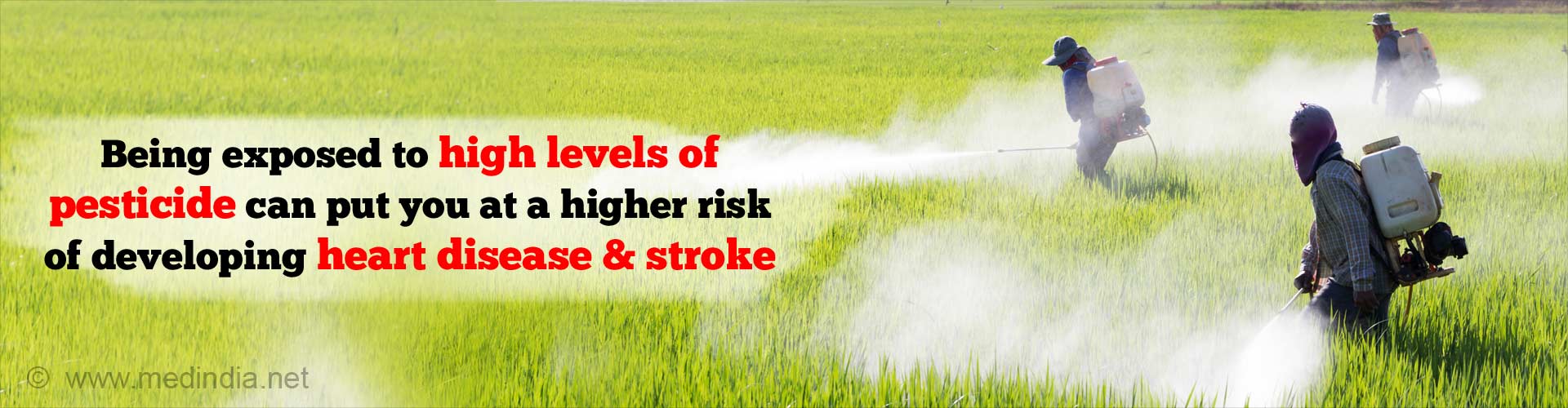 Pesticide Exposure May Up Heart Disease, Stroke Risk
