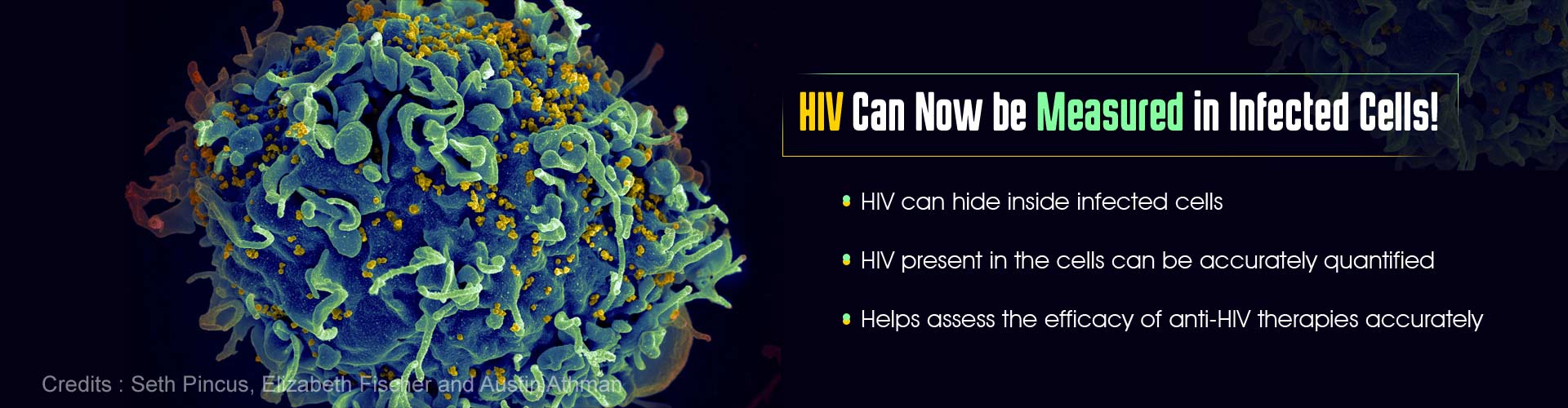 HIV can now be measured in infected cells. HIV can hide inside infected cells. HIV present in the cells can be accurately quantified. Helps assess the efficacy of anti-HIV therapies accurately.