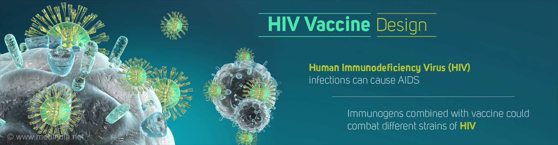 HIV Vaccine Design
- Human Immunodeficiency Virus (HIV) infections can cause AIDS
- Immunogens combined with vaccine could combat different strains of HIV