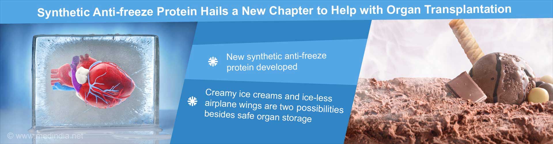 Synthetic Anti-freeze Protein Hails a New Chapter to Help with Organ Transplantation
- new synthetic anti0freeze protein developed
- creamy ice-cream and ice-less airplane wings are two possibilities, besides safe organ storage