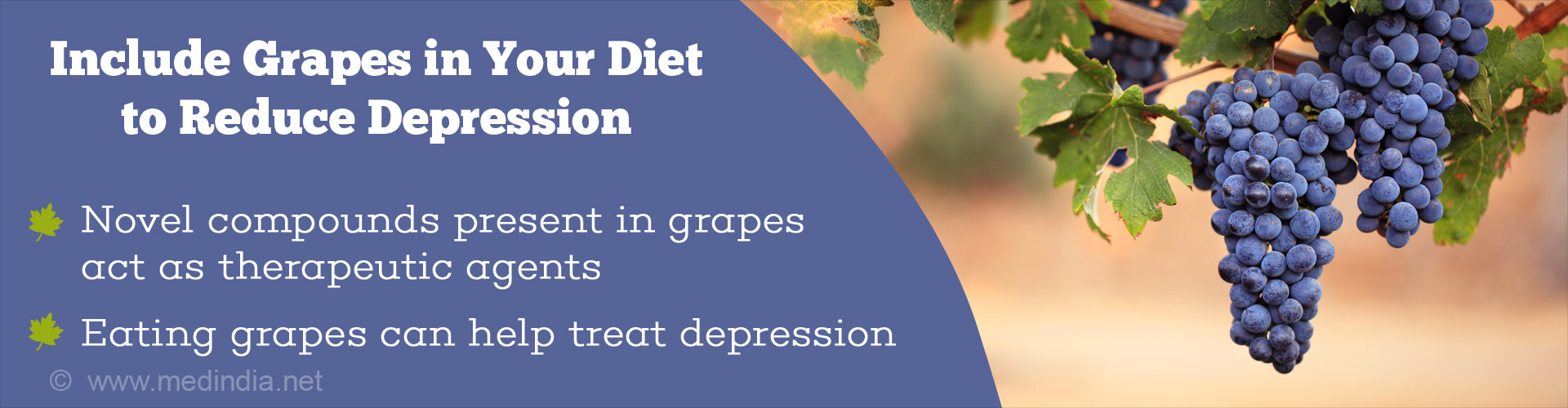 include grapes in your diet to reduce depression
- novel compounds present in grapes act as therapeutic agents
- eating grapes can help treat depression
