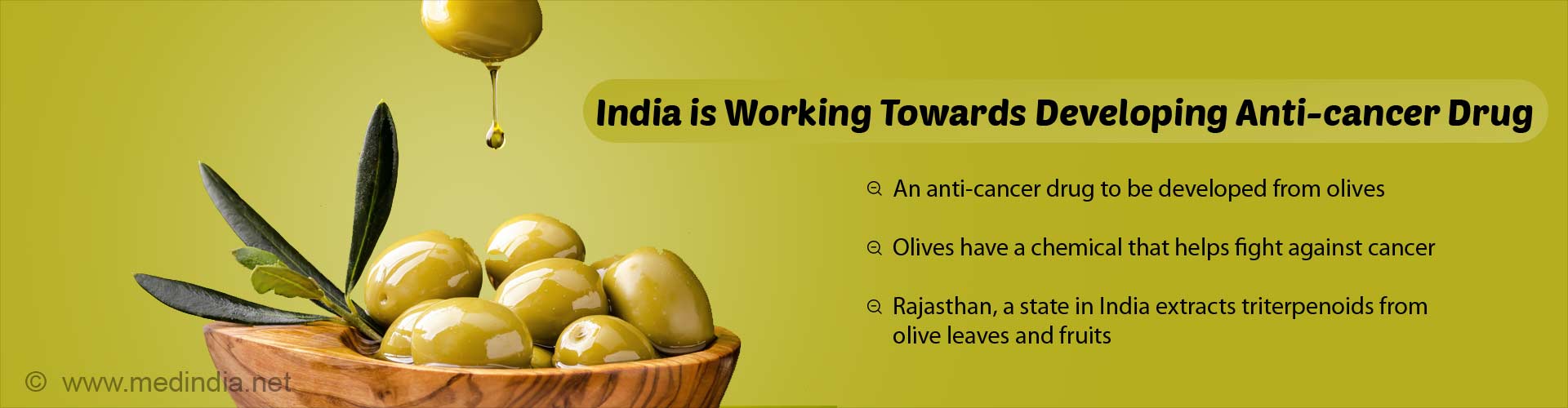 India is working towards developing anti-cancer drug
- an anti-cancer drug to be developed from olives
- olives have a chemical that helps fight against cancer
- rajasthan, a state in india extracts tri-terpenoids from olive leaves and fruits