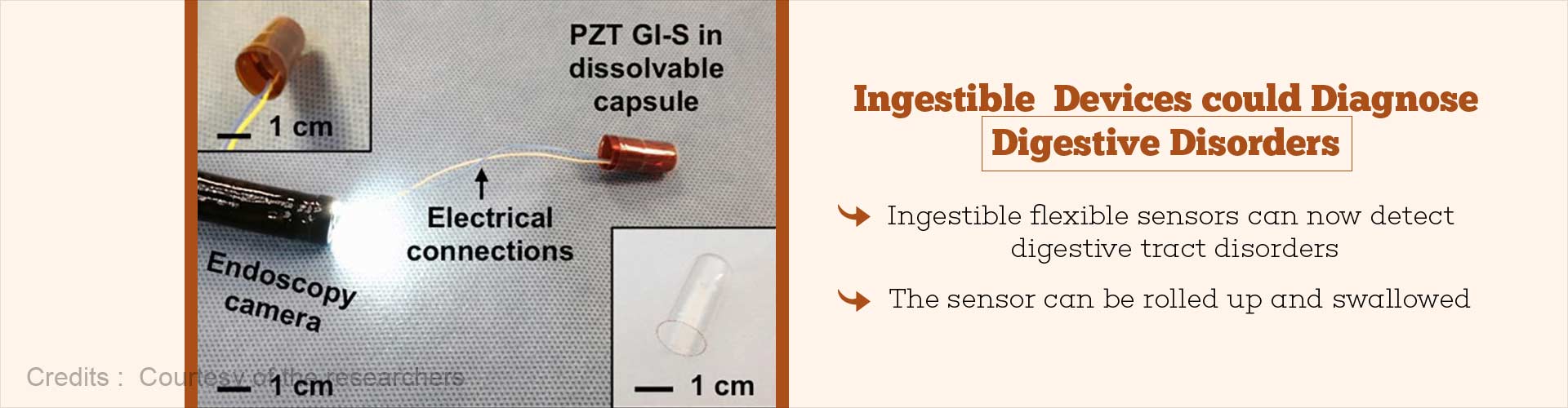 Ingestible devices could diagnose digestive disorders
- Ingestible flexible sensors can now detect digestive tract disorders
- The sensor can be rolled up and swallowed