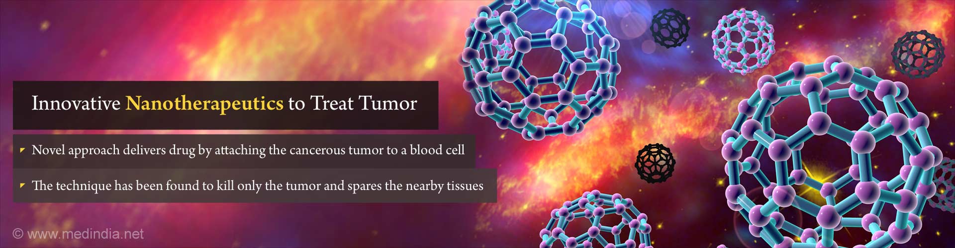 Innovative nanotherapeutics to treat tumor
-Novel approach delivers drugs by attaching the cancerous tumor to a blood cell
- The technique has been found to kill only the tumor and spares the nearby tissues