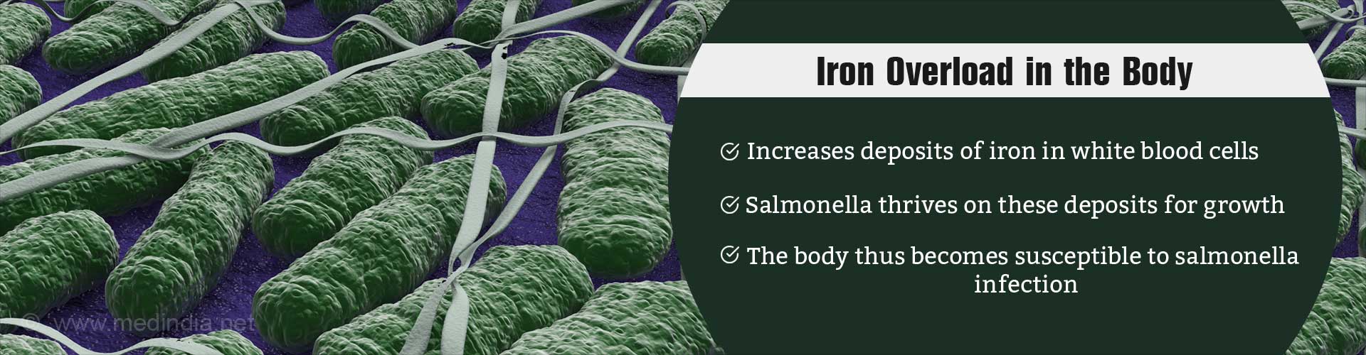 Iron Overload in the Body
- Increases deposits of iron in white blood cells
- Salmonella thrives on these deposits for growth
- The body thus becomes susceptible to salmonella infection