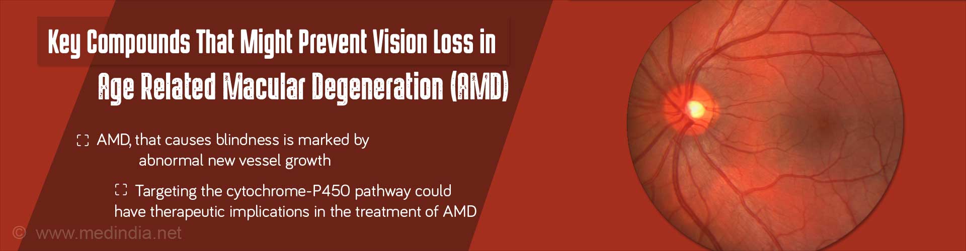 Key compounds that might prevent vision loss in age-related macular degeneration (AMD)
- AMD, that cause blindness is marked by abnormal new vessel growth
- targeting the cytochrome-P450 pathway could have therapeutic implications in the treatment of AMD