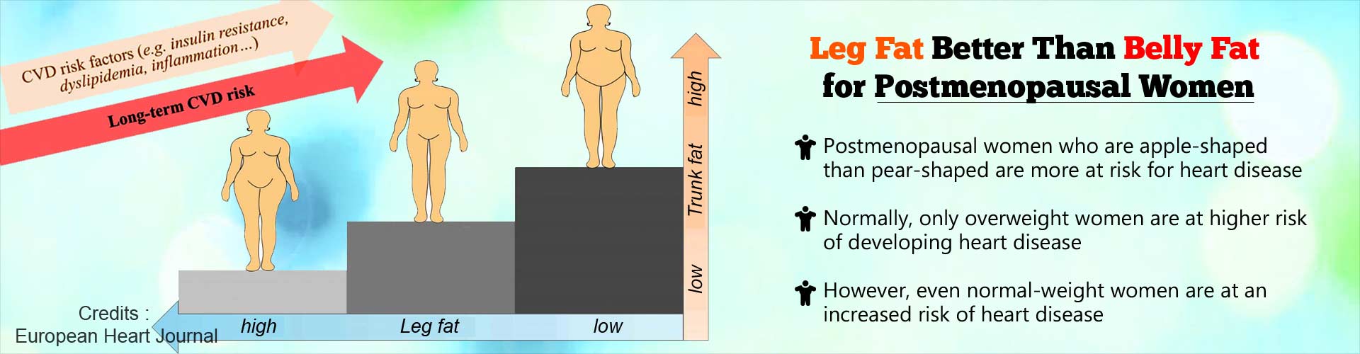腿部脂肪的燃烧比绝经后妇女的腹部脂肪。绝经后女性竹竿比梨形身材更在罹患心脏病的风险。通常情况下,只有超重女性有更高的患心脏病。然而,即使是正常体重的女性患心脏病的风险增加。