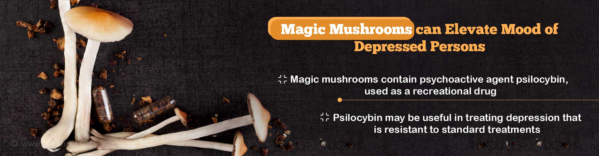 Magic mushrooms can elevate mood of depressed persons
- Magic mushrooms contain psychoactive agent psilocybin, used as a recreational drug
- Psilocybin may be useful in treating depression that is resistant to standard treatments