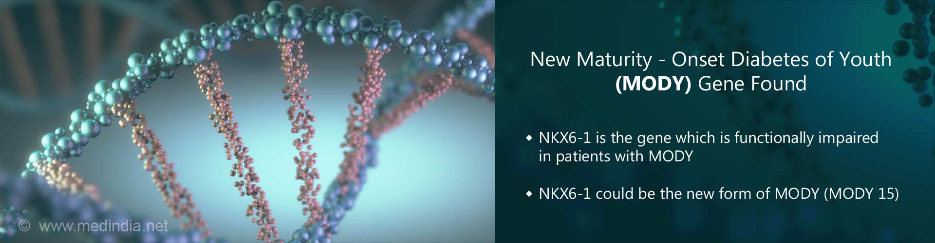 new maturity-onset diabetes of youth (MODY) gene found
- NKX6-1 is the gene which is functionally impaired in patients with MODY
- NKX6-1 could be the new form of MODY (MODY 15)