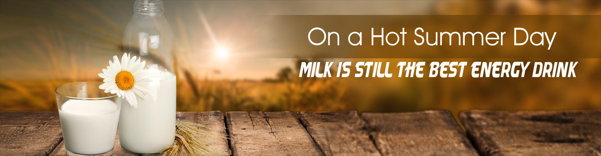 在炎热的夏天,牛奶仍然是最好的能量饮料