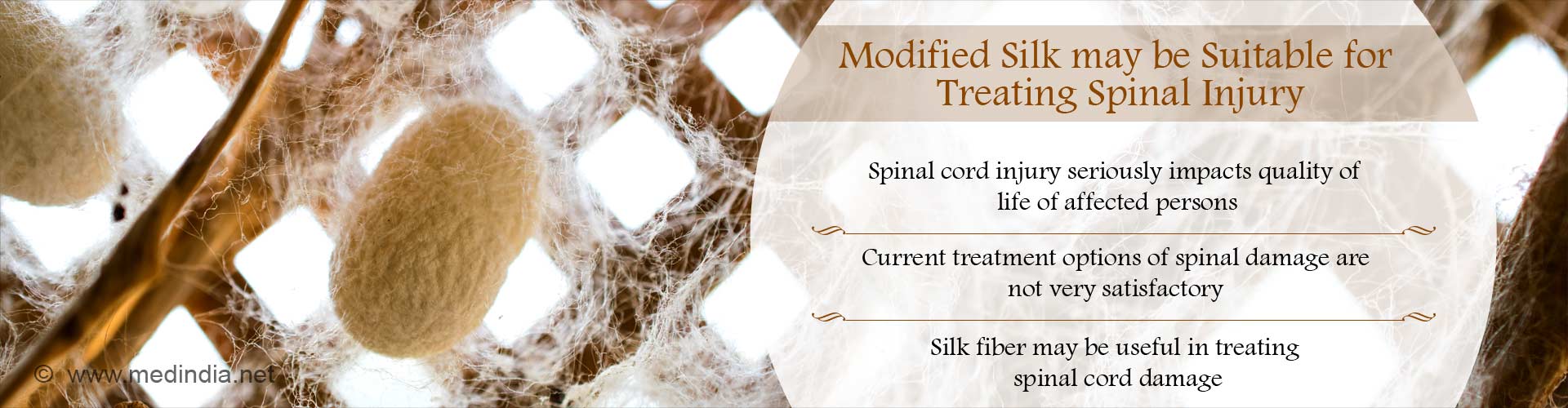 Modified silk may be suitable for treating spinal injury
- Spinal cord injury seriously impacts quality of life of affected persons
- current treatment options if spinal damage are not very satisfactory
- Silk fiber may be useful in treating spinal cord damage