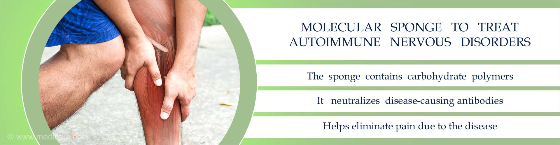 molecular sponge to treat autoimmune nervous disorders
- the sponge contains carbohydrate polymers
- it neutralizes disease-causing antibodies
- helps eliminate pain due to the disease