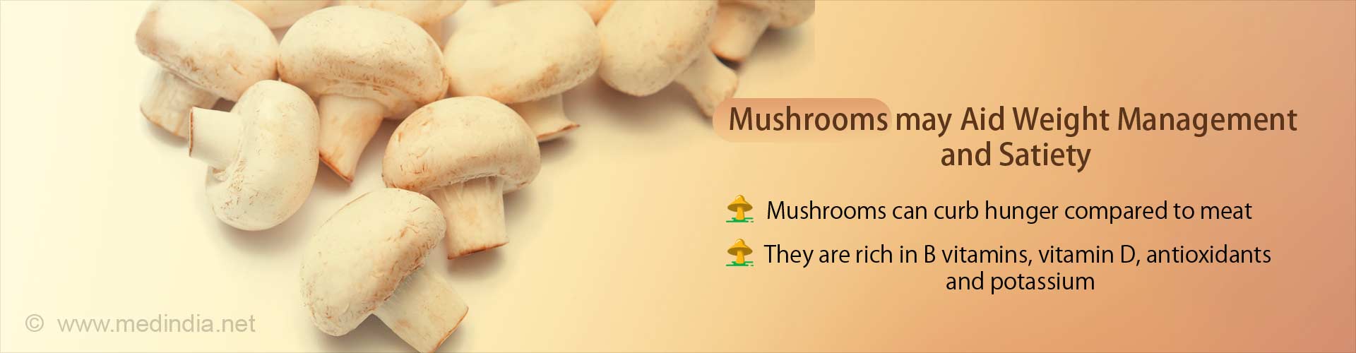 Mushrooms may aid weight management and satiety
- Mushrooms can curb hunger compared to meat
- They are rich in B vitamins, vitamin D, antioxidants and potassium