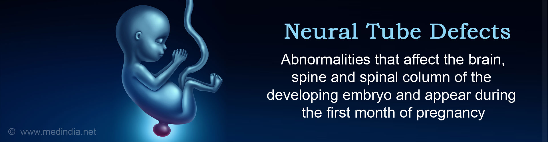 Neural Tube Defects: Abnormalities that affect the brain, spine and spinal column of the developing embryo and appear during the first month of pregnancy