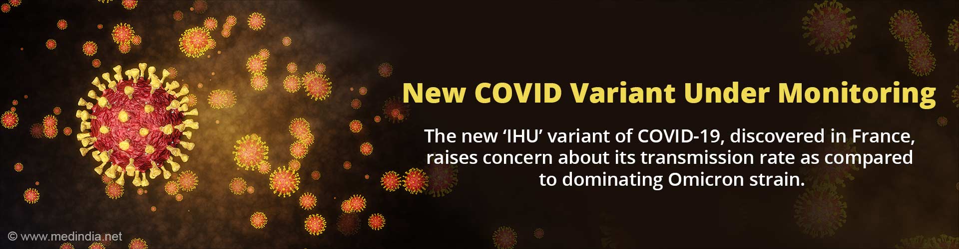 Highly Mutated New Strain of Coronavirus 'IHU' Stirs Fear Beyond Omicron