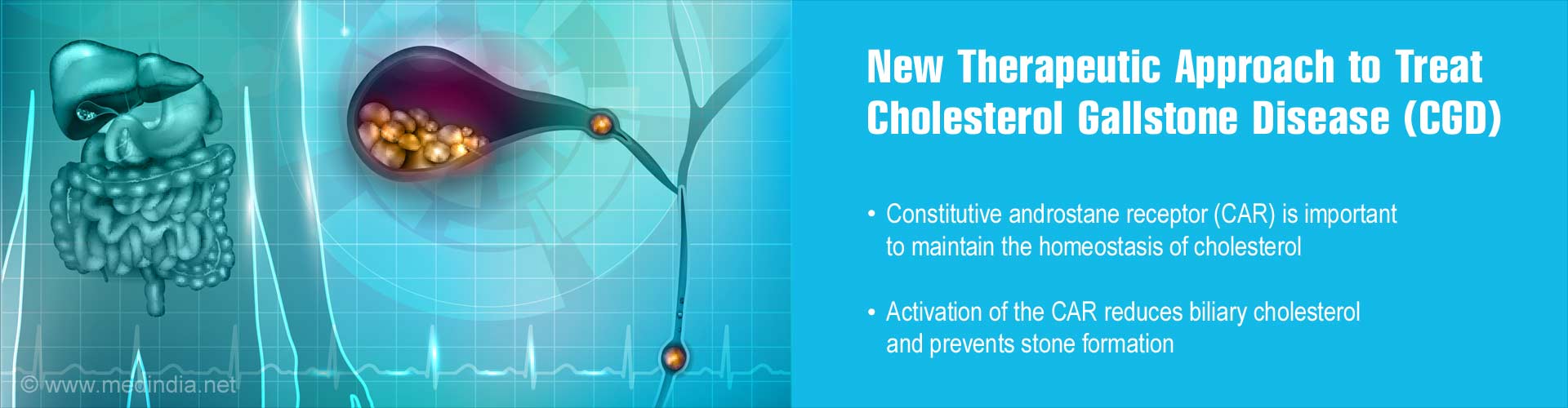 new therapeutic approach to treat cholesterol gallstone disease (CGD)
- constitutive androstane receptor (CAR) is important to maintain the homeostasis of cholesterol
- activation of the CAR reduces biliary cholesterol and prevents stone formation
