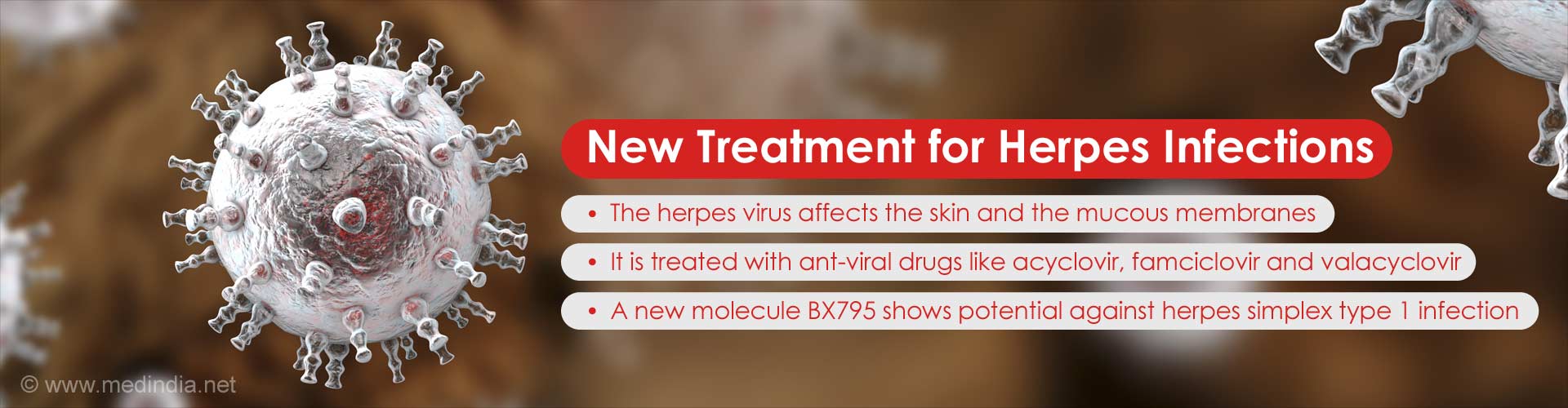 new treatment for herpes infections
- the herpes virus affects the skin and the mucous membranes
- it is treated with anti-virus drugs like acyclovir, famciclovir and valacyclovir
- a new molecule BX795 shows potential against herpes simplex type 1 infection
