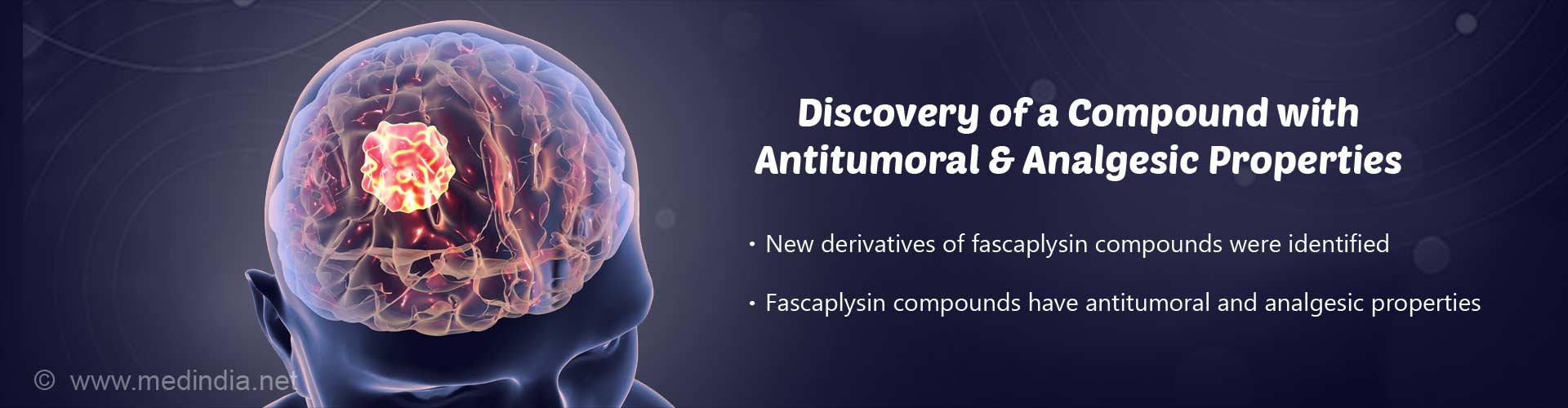 discovery of a compound with antitumoral & analgesic properties
- new derivatives of fascaplysin compounds were identified
- fascaplysin compaunds have antitumoral and analgesic properties