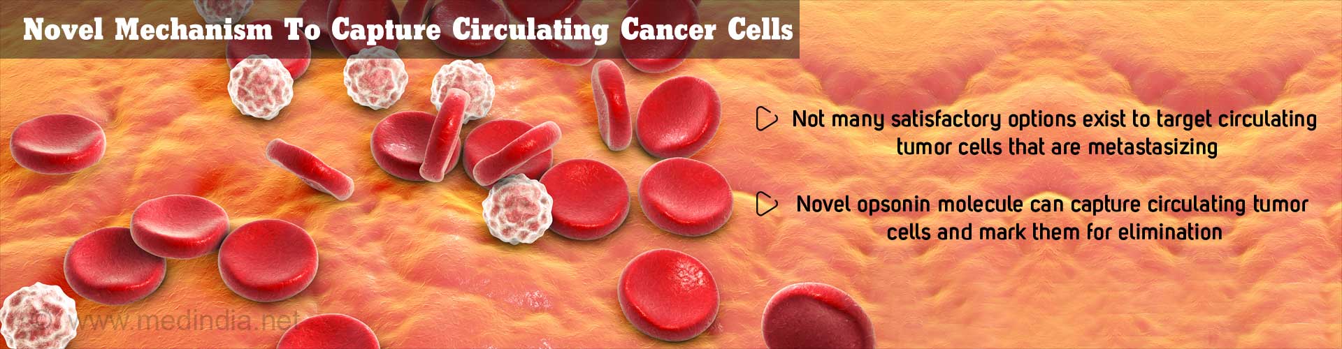 novel mechanism to capture circulating cancer cells
- Not many satisfactory options exist target circulating tumor cells that are metastasizing
- Novel opsonin molecule can capture circulating tumor cells and mark them for elimination