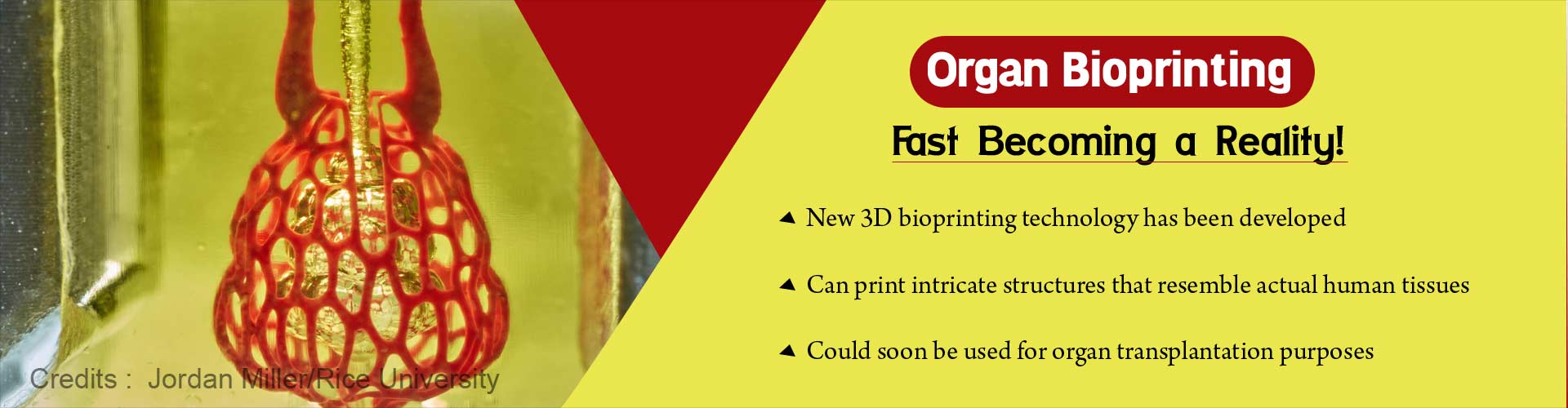 Organ bioprinting fast becoming a reality. New 3D bioprinting technology has been developed. Can print intricate structures that resemble actual human tissues. Could soon be used for organ transplantation purposes.