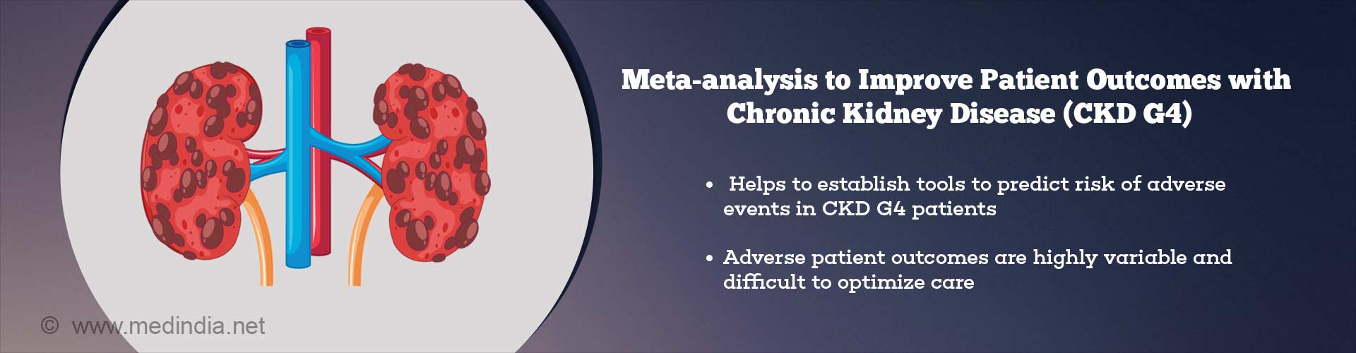 meta-analysis to improve patient outcomes with chronic kidney disease (CKD G4)
- helps to establish tools to predict risk of adverse events in CKD G4 patients
- adverse patient outcomes care highly variable and difficult to optimize care