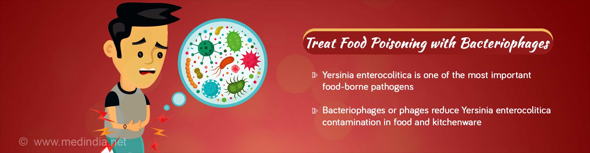 treat food poisoning with bacteriophages
- yersinia enterocolitica is one of the most important food-borne pathogens
- bacteriophages or phages reduce yersinia enterocolitica contamination in food and kitchenware