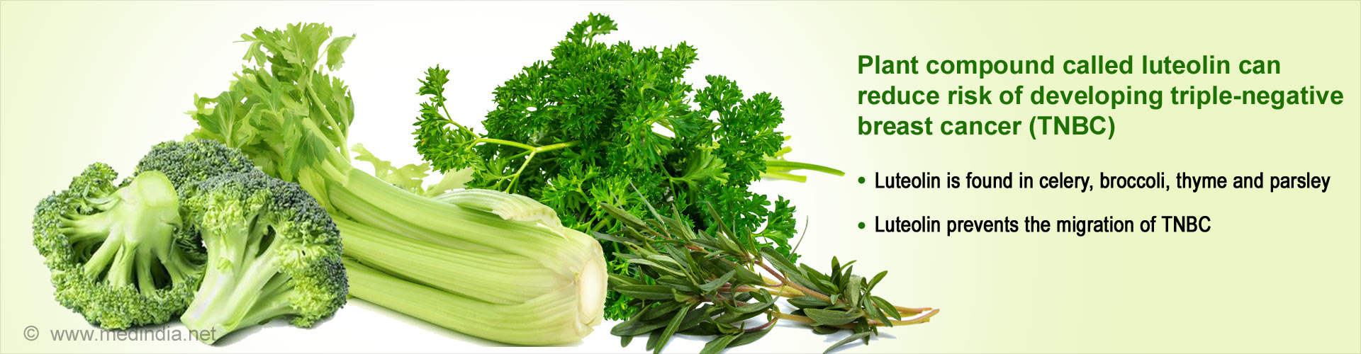 Plant compound called luteolin can reduce risk of developing triple-negative breast cancer (TNBC)
- Luteolin is found in celery, broccoli, thyme and parsley
- Luteolin prevents the migration of TNBC