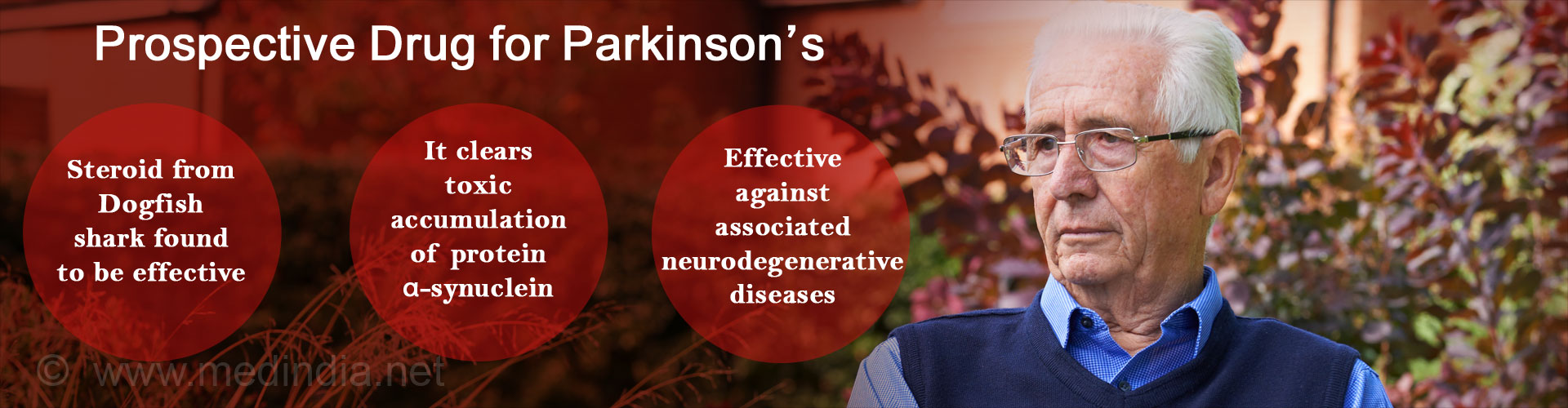 Prospective drug for Parkinson's
- steroid from Dogfish shark found to be effective
- it clears toxic accumulation of protein α-synuclein
- effective against associated neurodegenerative diseases
