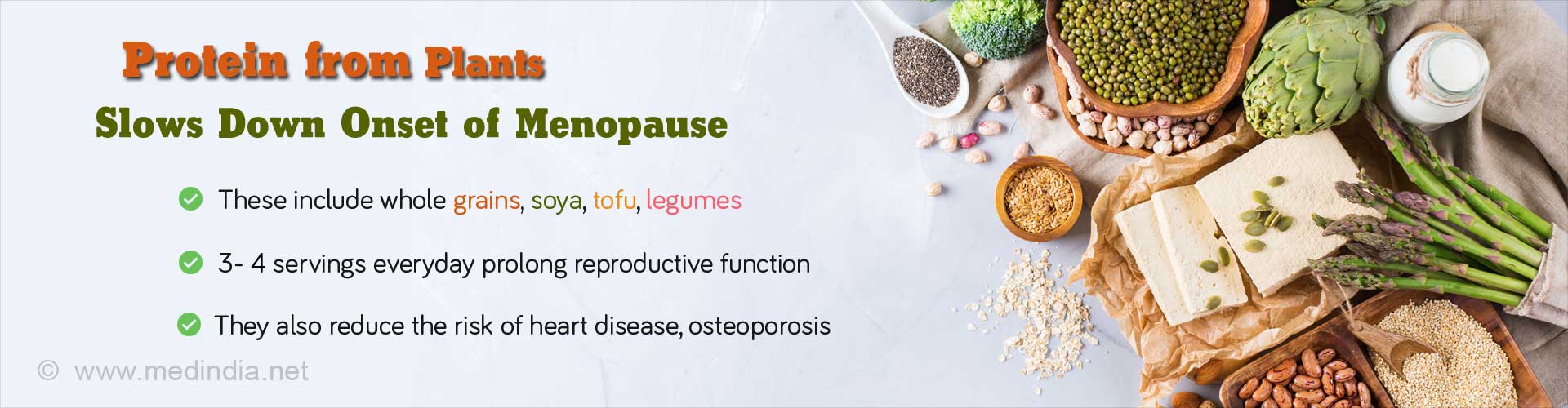 Protein from Plants Slows Down Onset of Menopause
- These include whole grains, soya, tofu, legumes
- 3-4 servings everyday prolong reproductive function
- They also reduce the risk of heart disease, osteoporosis