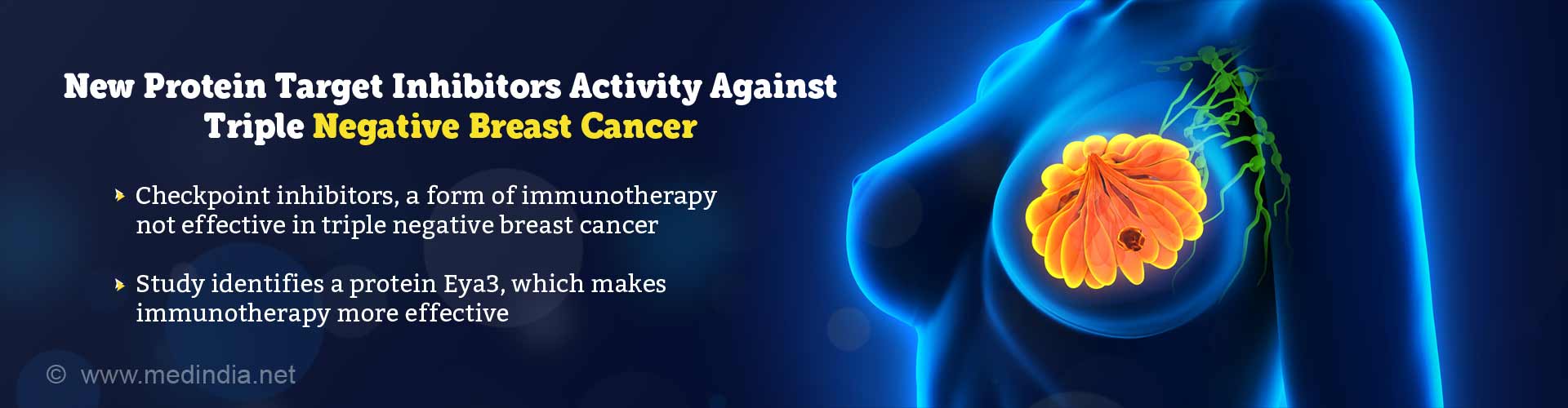 new protein target inhibitors activity against triple negative breast cancer
- checkpoint inhibitors, a form immunotherapy not effective in triple negative breast cancer
- study identifies a protein Eya3, which makes immunotherapy more effective