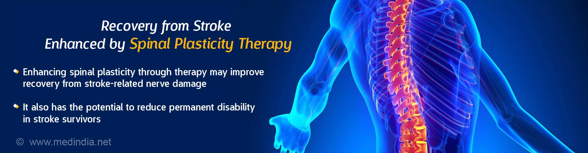 Recovery from stroke enhanced by spinal plasticity therapy
- enhancing spinal plasticity through therapy may improve recovery from stroke-related nerve damage
- it also has the potential to reduce permanent disability in stroke survivors